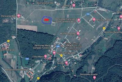 Teren de 1000 mp, în Sâmbăta de Sus - 6