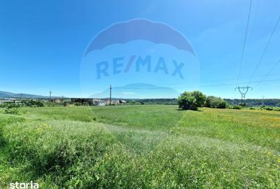 Teren de 8500 mp, în Cașin - 8