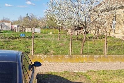 Spațiu comercial, în Carani - 3