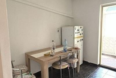Apartament cu 2 camere decomandat în Viile Noi - 4
