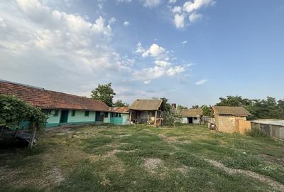 Casă cu 4 camere în Bărăganul - 2