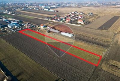 Teren Construcții intravilan de 4756 mp, în Griviței