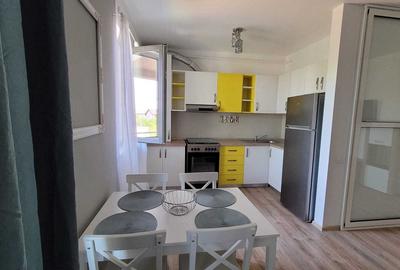 Apartament cu 2 camere semidecomandat în Dumbrăvița - 2
