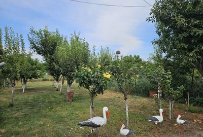 Casă cu 3 camere în - 5