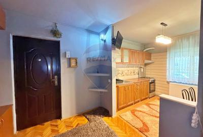 Apartament cu 2 camere decomandat, mobilat în Alfa - 4