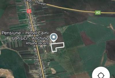 Teren de 500 mp, în Bărcănești - 3