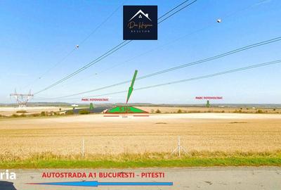 Teren de 50000 mp, în Căteasca - 3