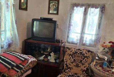 Casă cu 2 camere cu Teren 700 Mp în Vidra - 2