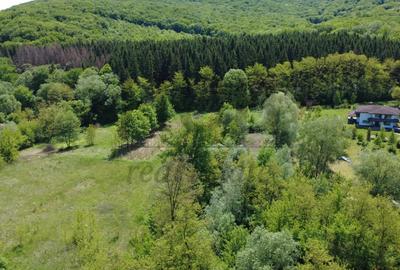 Teren Construcții intravilan de 3128 mp, în Luncani - 6