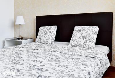 Apartament cu 2 camere în Podu Roș - 3