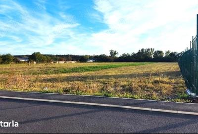Teren de 5548 mp, în Jilava