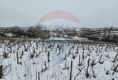 Teren intravilan de 6850 mp, în Izvor