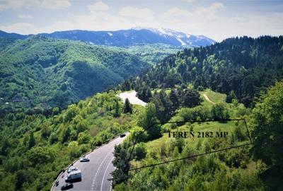 Teren Construcții intravilan de 2182 mp, în Drumul Poienii - 8