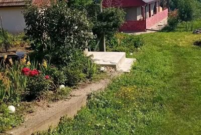 Casă cu 2 camere cu Teren 3500 Mp în Central