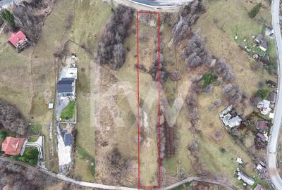 Teren Construcții intravilan de 3726 mp, în Dâmbovicioara - 3