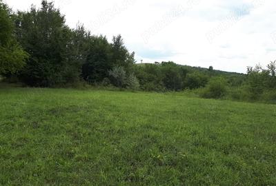 Teren de 3600 mp, în Valea Călugărească - 1