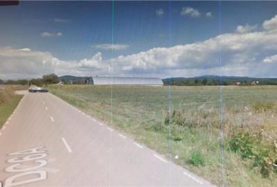 Teren de 3300 mp, în Bănești - 4