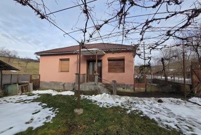 Casă cu 4 camere în Valea Crișului
