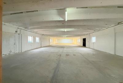 Spațiu industrial, de 1,690 mp, în Fratelia - 4