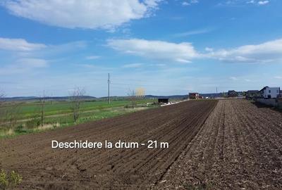 Teren de 3498 mp, în Tișăuți - 4