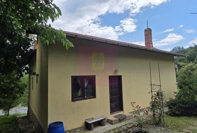 Casă cu 4 camere în Provița de Jos