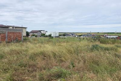 Teren de 5000 mp, în Lazu - 3