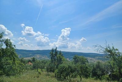 Teren Construcții intravilan de 24141 mp, în Drăghici - 6