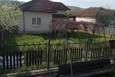 Casă cu 4 camere în Valea Stânii