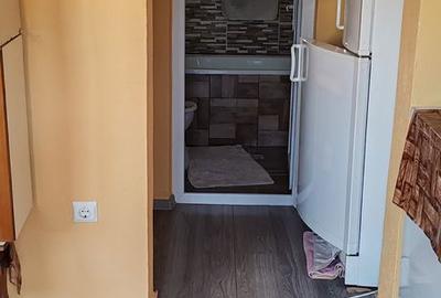 Casă cu 2 camere cu Teren 800 Mp în Galicea Mare - 10