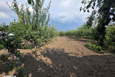 Casă cu 2 camere cu Teren 750 Mp în Cochirleanca