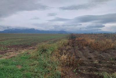 Teren Construcții intravilan de 33100 mp, în Tărlungeni - 6