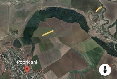 Teren de 19500 mp, în Popricani