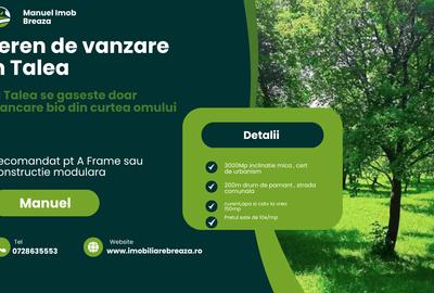 Teren Construcții intravilan de 3000 mp, în Tălii - 1
