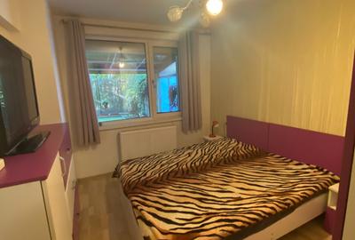 Apartament cu 2 camere semidecomandat, mobilat în Podu Roș - 1
