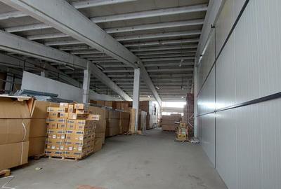 Spațiu industrial, de 430 mp, în Mureșeni - 1