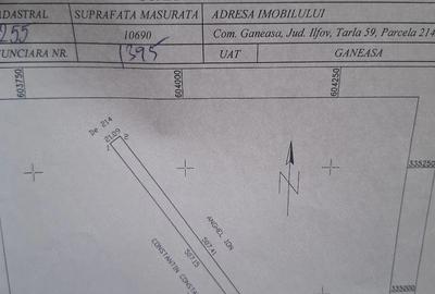 Teren de 10700 mp, în Găneasa - 3