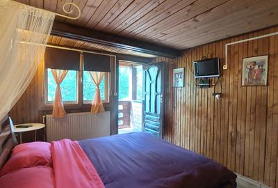 Casă cu 5 camere cu Teren 1050 Mp în Lepșa - 11