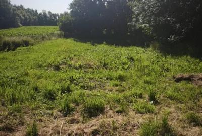 Casă cu 2 camere cu Teren 5567 Mp în Frătăuții Vechi - 6