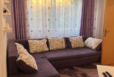 Apartament cu 2 camere nedecomandat în Șagului