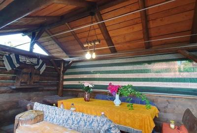Casă cu 4 camere în Bucium - 4