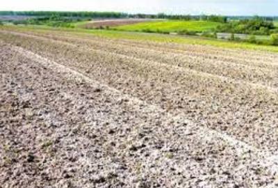 Teren extravilan de 20000 mp, în Poiana Mare