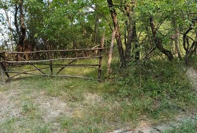 Teren de 3600 mp, în Bela - 1
