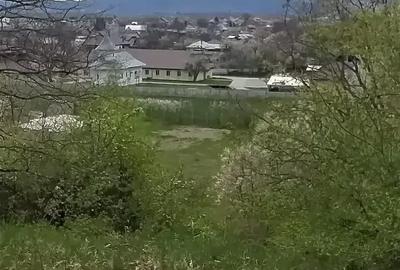 Teren de 5000 mp, în Central
