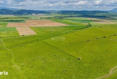 Teren de 5800 mp, în Central - 16