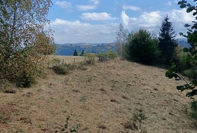 Teren de 4600 mp, în Mărișel