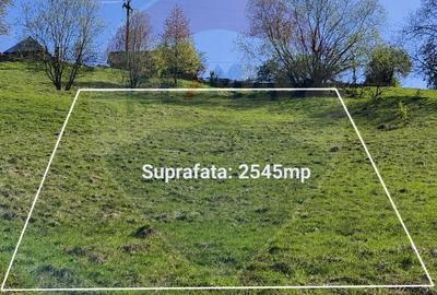 Spațiu comercial, în Brădești - 2
