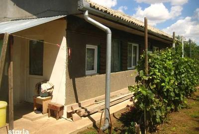 Casă cu 3 camere cu Teren 2100 Mp în Livedea - 4