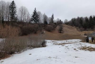 Spațiu comercial, în Hangu - 2