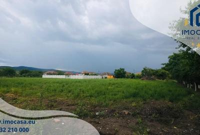 Teren Construcții intravilan de 4100 mp, în Șiria - 6