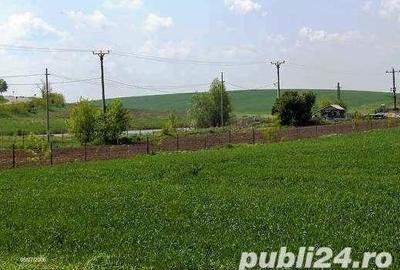 Teren de 45000 mp, în Central - 5